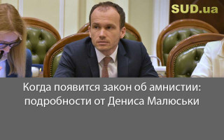 Когда появится закон об амнистии: подробности от Дениса Малюськи