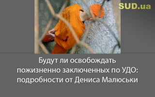 Будут ли освобождать пожизненно заключенных по УДО: подробности от Дениса Малюськи