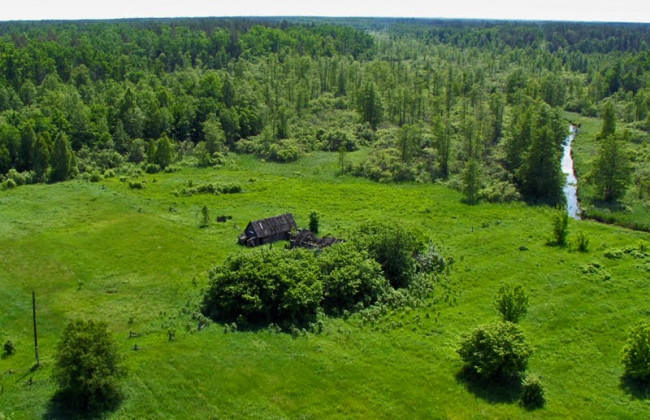 Заборона природонищівної діяльності: суд ухвалив рішення