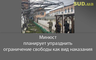Минюст планирует упразднить ограничение свободы как вид наказания