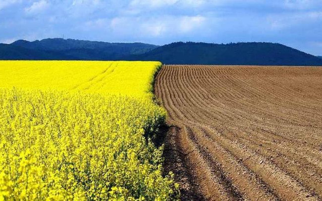 Велика Палата ВС уточнила, з якого моменту обчислюється початок дії договору оренди земельної ділянки