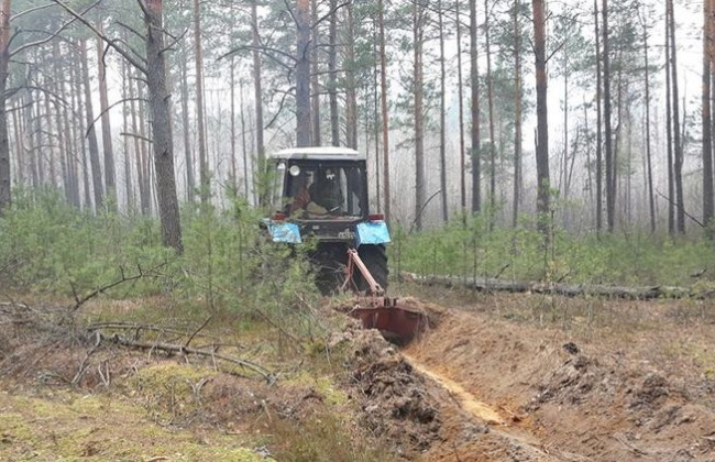 В Житомирской области вспыхнул мощный пожар в заповеднике: подробности