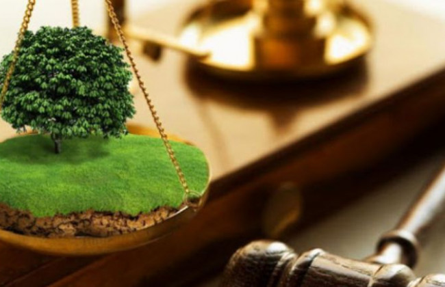 Земельні спори: огляд практики КГС ВС