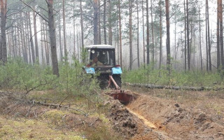 В Житомирской области вспыхнул мощный пожар в заповеднике: подробности