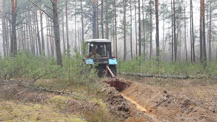 В Житомирской области вспыхнул мощный пожар в заповеднике: подробности