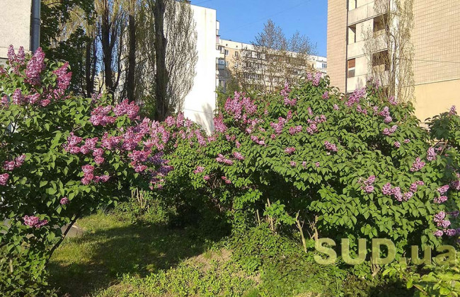 Коммунальщики наводят порядок, очереди и полиция — как живет Киев на карантине 30 апреля, фото