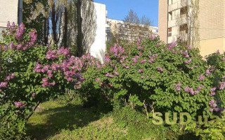 Как живет Киев в самоизоляции 30 апреля: работа коммунальщиков, очереди и полиция