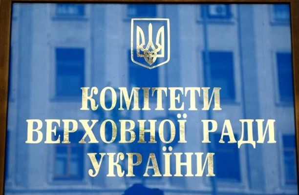 Комітет з питань соціальної політики та захисту прав ветеранів розглянув проект закону про амністію: подробиці