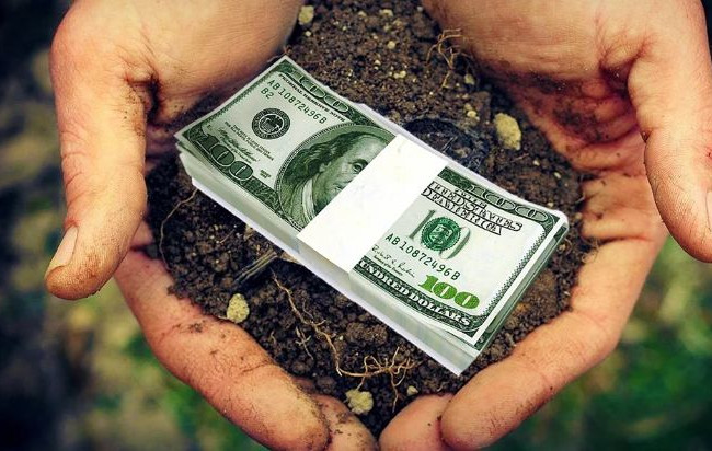 В «Голосе Украины» опубликовали закон об открытии рынка земли