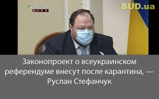 Законопроект о всеукраинском референдуме внесут после карантина, — Руслан Стефанчук
