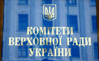 Комітет з питань соціальної політики та захисту прав ветеранів розглянув проект закону про амністію: подробиці