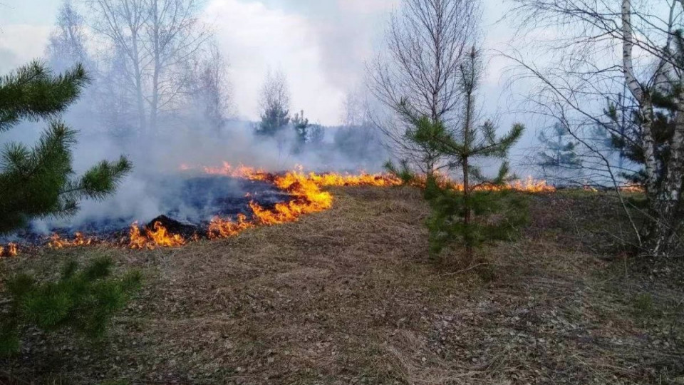 Ситуація з масовими пожежами: основні вогнища локалізовані