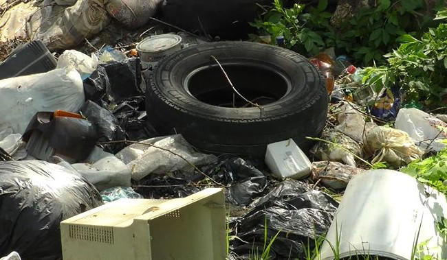 На Київщині озеро потопає у смітті: є відео