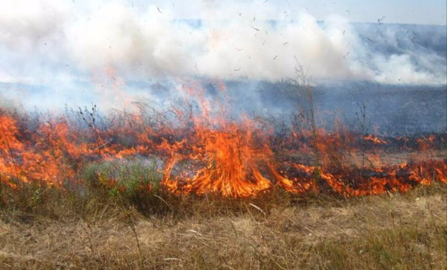 Подожгла сухую траву и погибла: в Житомирской области от ожогов умерла пенсионерка