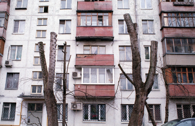 Обрізка дерев: необхідний захід чи знищення зелених насаджень в Києві