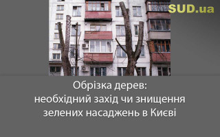 Обрізка дерев: необхідний захід чи знищення зелених насаджень в Києві
