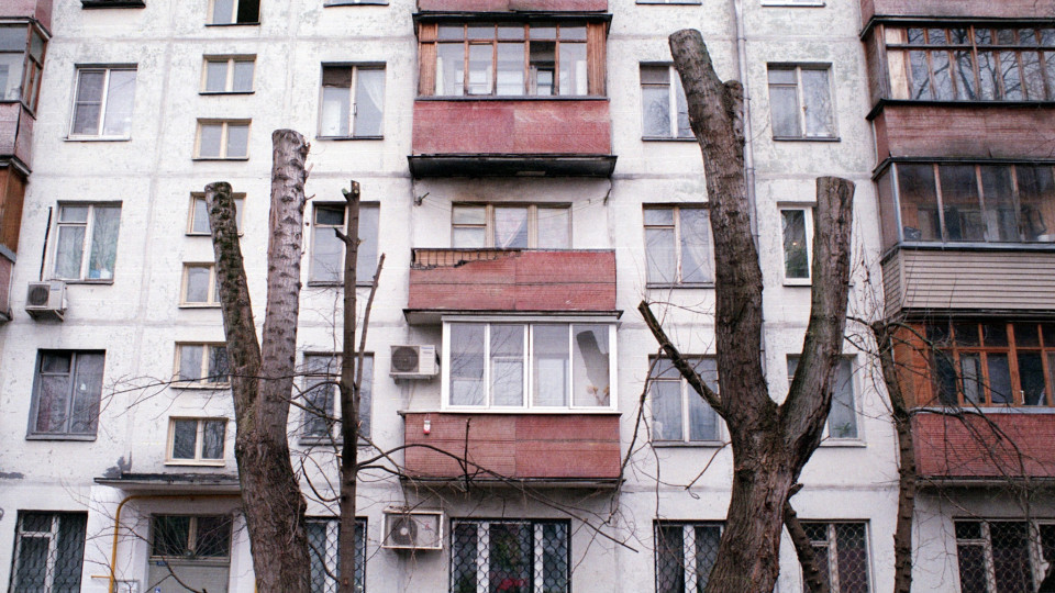 Обрізка дерев: необхідний захід чи знищення зелених насаджень в Києві
