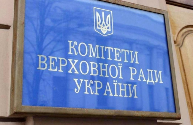 Комітет Ради з питань соціальної політики розглядає проект Постанови про Програму діяльності Кабміну