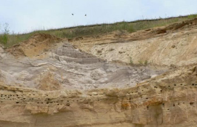 Детей засыпало песком: детали смертельного инцидента под Харьковом