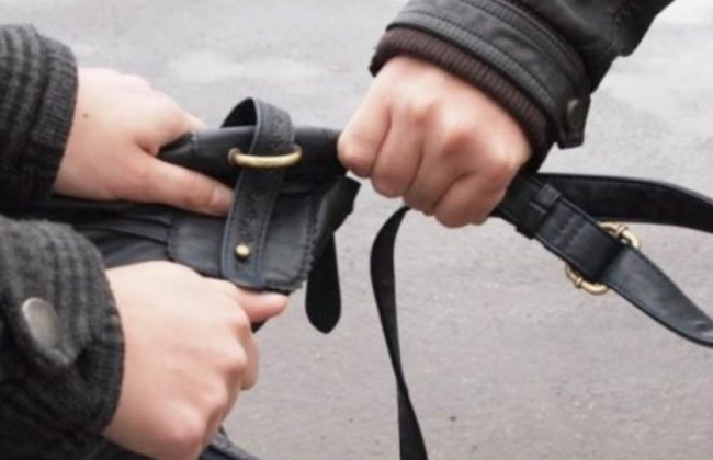 Дерзкое ограбление под Киевом: двое мужчин напали на женщину