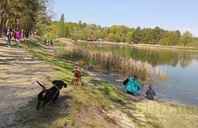 Нашествие клещей: киевляне просят обработать парки от паразитов