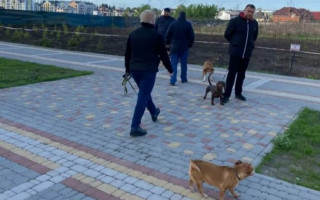 У Києві на чоловіка під час ранкової пробіжки напав собака: фото