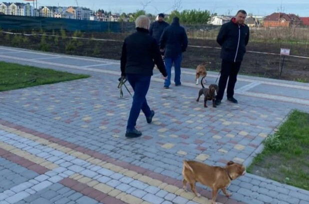 У Києві на чоловіка під час ранкової пробіжки напав собака: фото