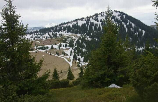 Снежный май: Карпаты засыпало снегом, фото