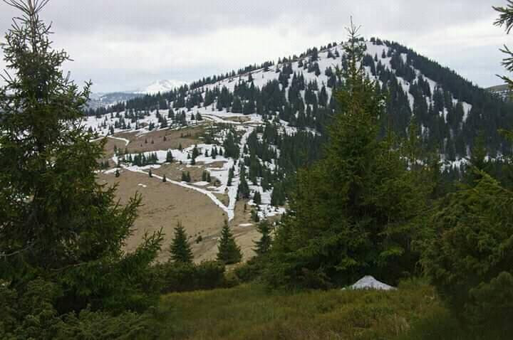 Снежный май: Карпаты засыпало снегом, фото
