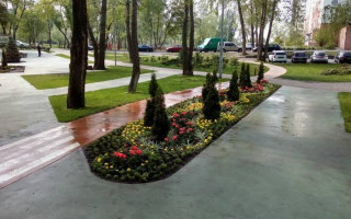 В Деснянському районі столиці відкриють новий парк: з’явилися фото зеленої зони