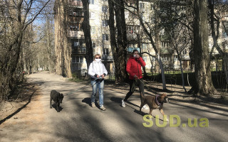 В Україні одужала рекордна кількість хворих на коронавірус: брифінг МОЗ