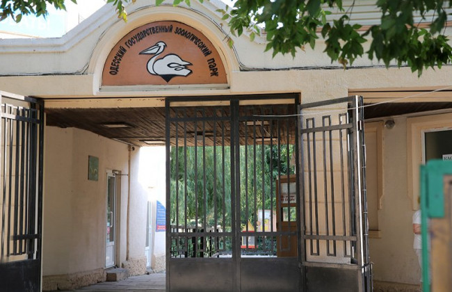 Одесса продолжает выходить из карантина: в городе открывают зоопарк