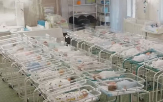 Родили для иностранцев: Офис Генпрокурора заинтересовался вопросом младенцев