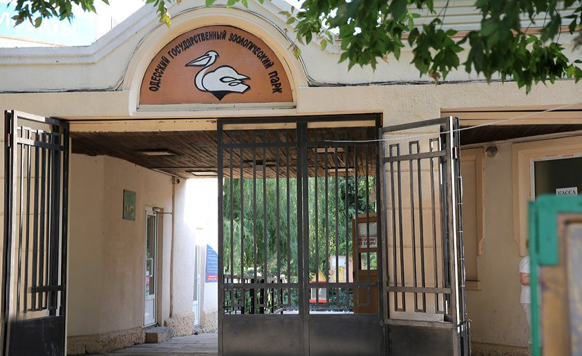 Одесса продолжает выходить из карантина: в городе открывают зоопарк