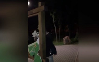 В Киеве дерзкие подростки устроили переполох в парке отдыха: есть видео