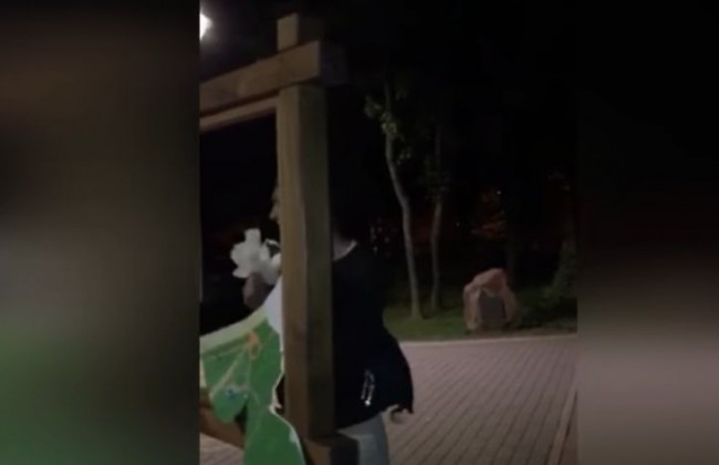 В Киеве дерзкие подростки устроили переполох в парке отдыха: есть видео