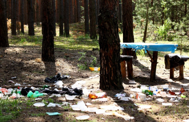 Народні депутати пропонують посилити відповідальність за засмічення лісових насаджень: законопроект