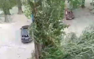 Валил деревья на автомобили: в Чернигове бушевал ураган, видео