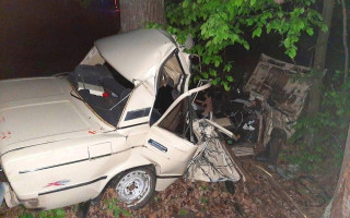 Под Киевом ВАЗ влетел в дерево: есть жертвы