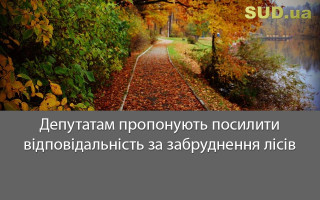 Депутатам пропонують посилити відповідальність за забруднення лісів