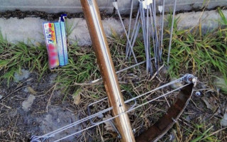 У Херсоні літній живодер розстрілював котів з арбалета: що відомо