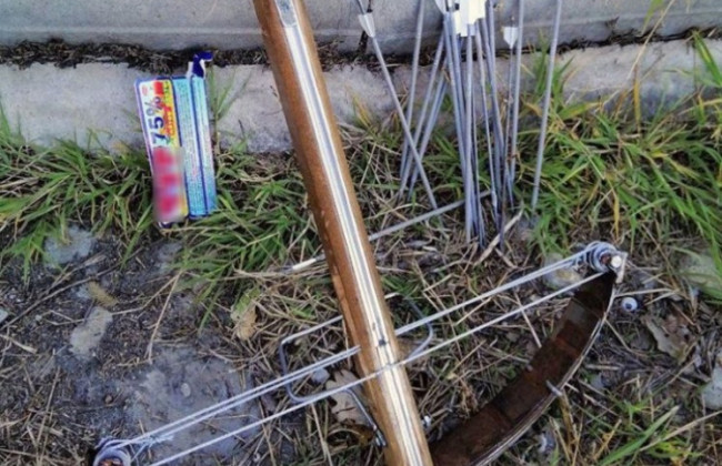 У Херсоні літній живодер розстрілював котів з арбалета: що відомо