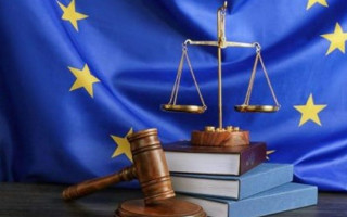 Які скарги може розглядати ЄСПЛ: критерії прийнятності