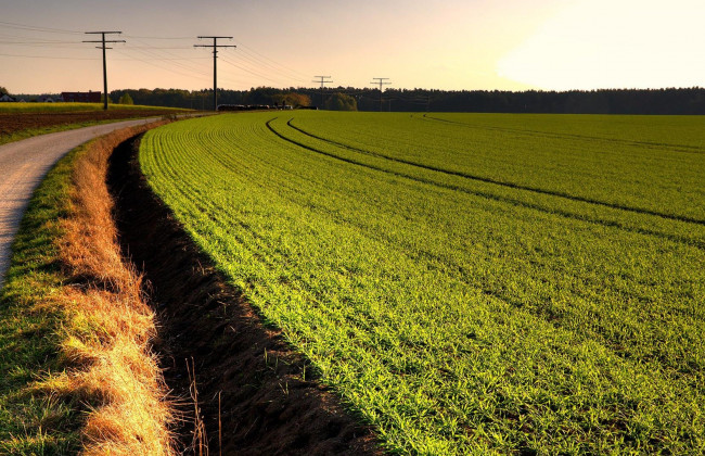 Вместо кадастрового номера предлагается указывать учетный код земельного участка, который находится в городском земельном кадастре