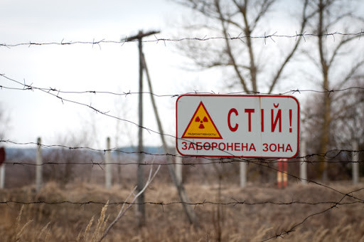 В Чернобыльской зоне задержали мужчин, которые хотели вывезти лосиные рога: фото