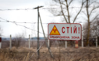 В Чернобыльской зоне задержали мужчин, которые хотели вывезти лосиные рога: фото