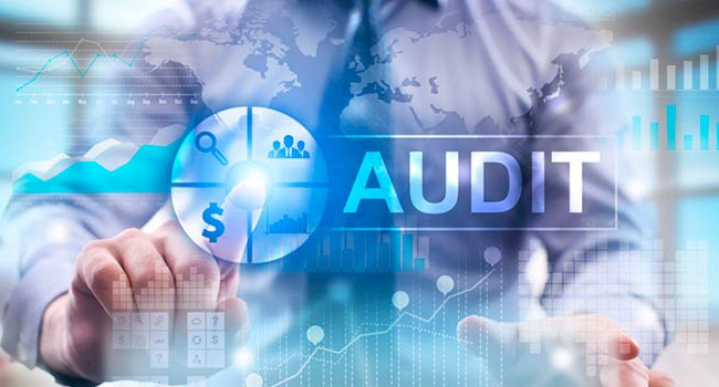 Проведення аудиту товариства на вимогу акціонера: позиція Верховного Суду