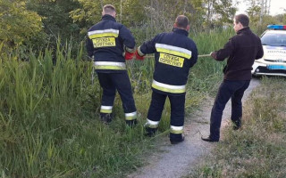 Жуткая находка: в Днепре в сточной канаве выловили труп мужчины