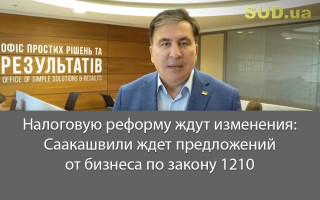 Налоговую реформу ждут изменения: Саакашвили ждет предложений от бизнеса по закону 1210