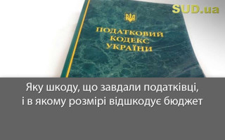 Яку шкоду, що завдали податківці, і в якому розмірі відшкодує бюджет